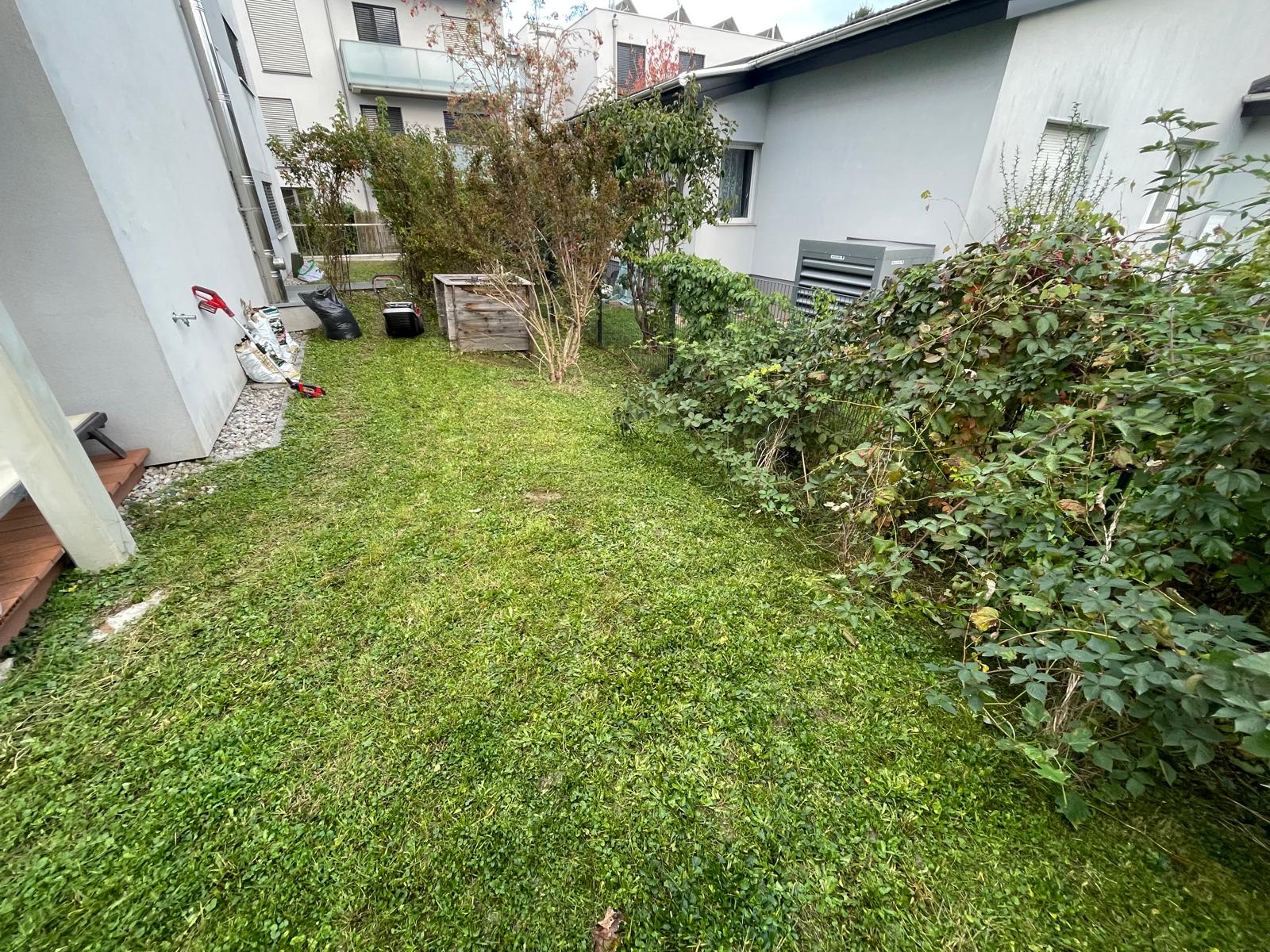 Gepflegter Hintergarten